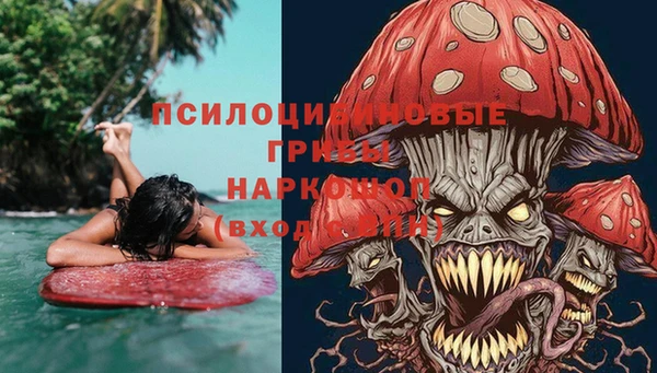 бошки Михайловск