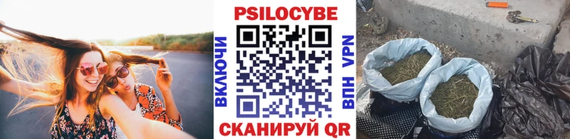 Купить где  Кукмор  Галлюциногенные грибы Magic Shrooms 